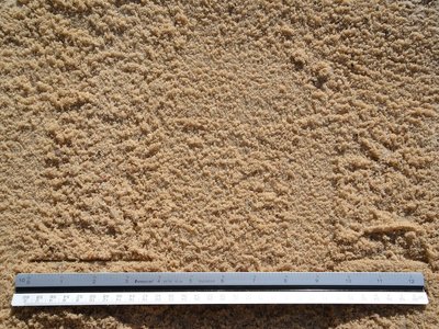 Fine Mason Sand